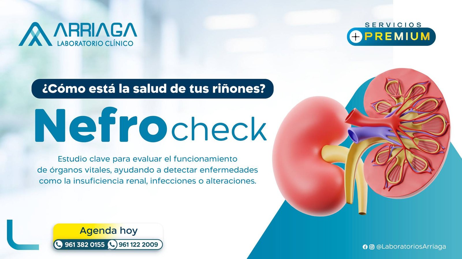 Inicio nefro check