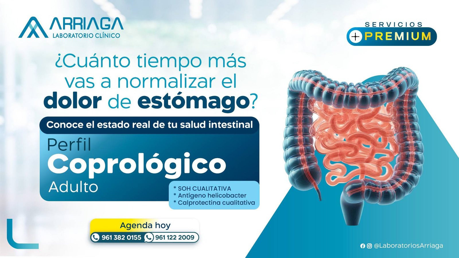 Inicio perfil coprologico