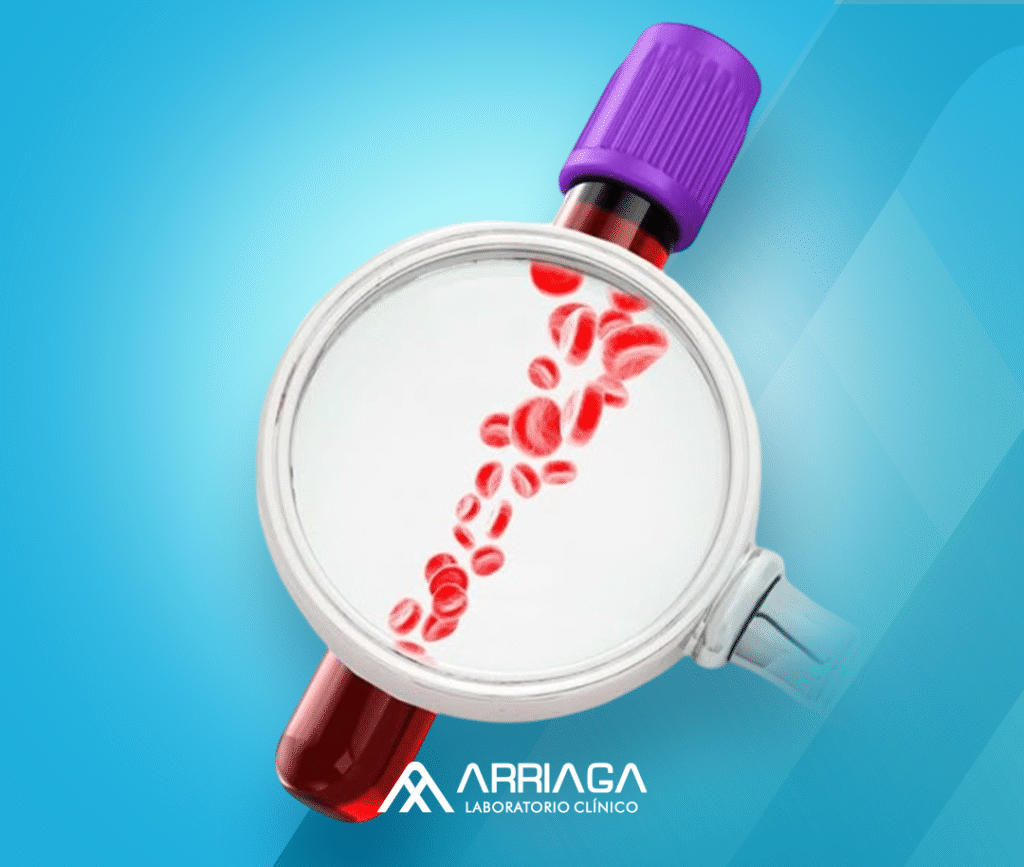 Banners Servicios 2 1024x867