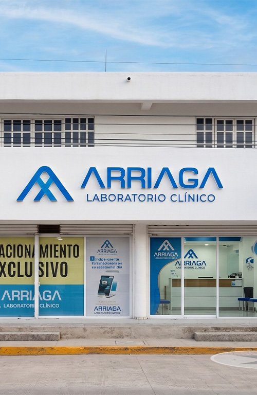 matriz